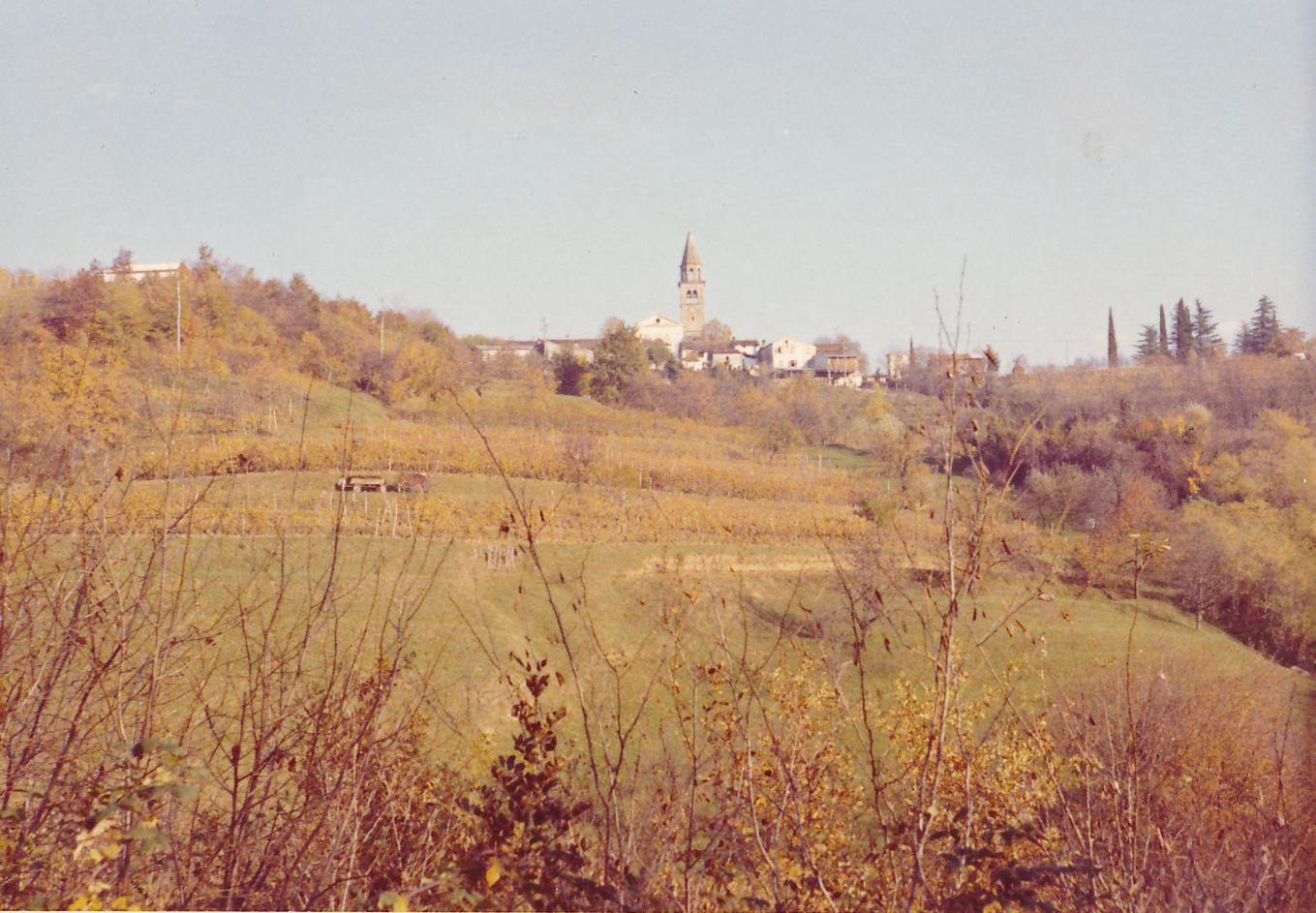 eika image
